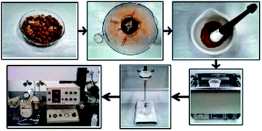 Graphical abstract: Development of a new clean methodology with ultrasound-assisted extraction for analysis of sodium in pet foods