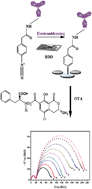 Graphical abstract: Electrically addressable deposition of diazonium-functionalized antibodies on boron-doped diamond microcells for the detection of ochratoxin A