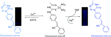 Graphical abstract: Switching the recognition preference of thiourea derivative by replacing Cu2+: spectroscopic characteristics of aggregation-induced emission and mechanism studies for recognition of Hg(ii) in aqueous solution