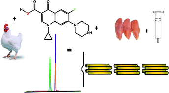 Graphical abstract: High precision and selectivity for quantitation of enrofloxacin and ciprofloxacin in five chicken tissues using solid phase extraction and ESI LC-MS/MS for application in monitoring residues