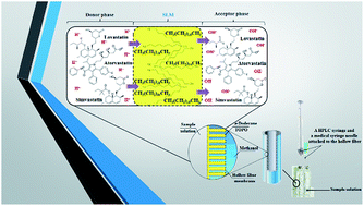 Graphical abstract: Evaluation of three-phase hollow fiber microextraction based on two immiscible solvents coupled to GC and HPLC for determination of statin drugs in biological fluids