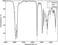 Graphical abstract: Exploratory analysis of biodiesel/diesel blends by Kohonen neural networks and infrared spectroscopy