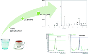 Graphical abstract: Rapid determination of emerging contaminants in water and herbal infusions by in situ derivatization and gas chromatography-tandem mass spectrometry