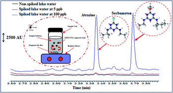 Graphical abstract: Multi-walled carbon nanotubes-agarose gel micro-solid phase extraction for the determination of triazine herbicides in water samples