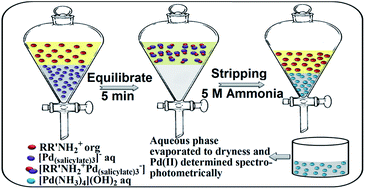 Graphical abstract: 2-Octylaminopyridine assisted solvent extraction system for selective separation of palladium(ii) ion-pair complex from synthetic mixtures and real samples