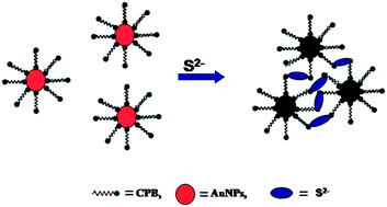 Graphical abstract: Ultrasensitive, highly specific, colorimetric recognition of sulfide ions [S2−] in aqueous media: applications to environmental analysis