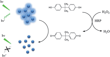 Graphical abstract: Highly sensitive detection of bisphenol A in food packaging based on graphene quantum dots and peroxidase