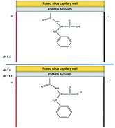 Graphical abstract: Molecularly imprinted hydrophobic polymers as a tool for separation in capillary electrochromatography