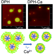 Graphical abstract: Stabilization of a hyaluronate-associated gene delivery system using calcium ions