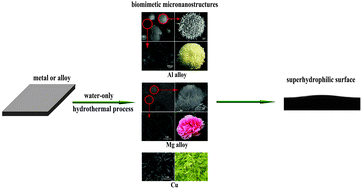 Graphical abstract: Water-only hydrothermal method: a generalized route for environmentally-benign and cost-effective construction of superhydrophilic surfaces with biomimetic micronanostructures on metals and alloys