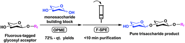 Graphical abstract: Highly efficient one-pot multienzyme (OPME) synthesis of glycans with fluorous-tag assisted purification
