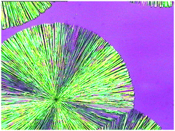 Graphical abstract: Co-crystal formation between poly(ethylene glycol) and a small molecular drug griseofulvin