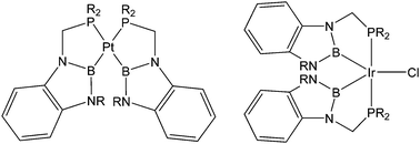 Graphical abstract: A bidentate boryl ligand: syntheses of platinum and iridium complexes