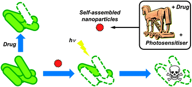 Graphical abstract: Self-assembled nanoparticles as multifunctional drugs for anti-microbial therapies