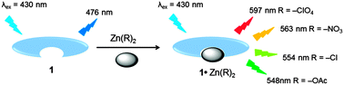 Graphical abstract: A fluorescent molecular probe for the identification of zinc and cadmium salts by excited state charge transfer modulation