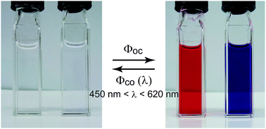 Graphical abstract: Photoirradiation wavelength dependence of cycloreversion quantum yields of diarylethenes