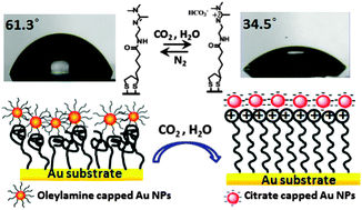 Graphical abstract: A CO2-responsive surface with an amidine-terminated self-assembled monolayer for stimuli-induced selective adsorption