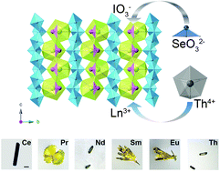 Graphical abstract: Th(VO3)2(SeO3) and Ln(VO3)2(IO3) (Ln = Ce, Pr, Nd, Sm, and Eu): unusual cases of aliovalent substitution