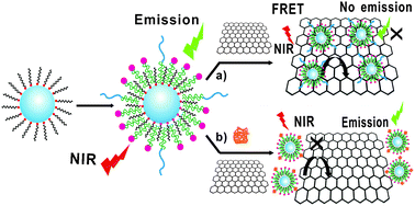 Graphical abstract: Upconversion fluorescence resonance energy transfer biosensor for sensitive detection of human immunodeficiency virus antibodies in human serum