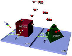 Graphical abstract: Two-dimensional g-C3N4: an ideal platform for examining facet selectivity of metal co-catalysts in photocatalysis