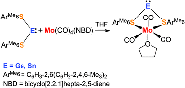 Graphical abstract: Unusual coordination of tetrylenes to molybdenum carbonyl fragments