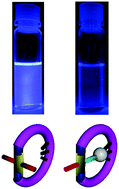 Graphical abstract: Optical reading of the open and closed states of a molecular turnstile