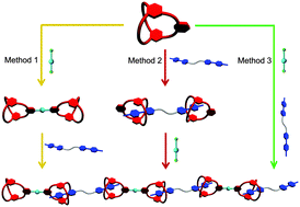 Graphical abstract: A responsive supramolecular polymer formed by orthogonal metal-coordination and cryptand-based host–guest interaction
