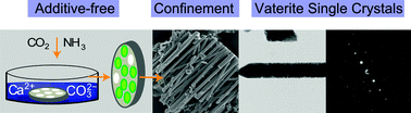 Graphical abstract: Confinement stabilises single crystal vaterite rods