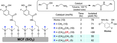 Graphical abstract: MCF-supported boronic acids as efficient catalysts for direct amide condensation of carboxylic acids and amines