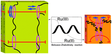 Graphical abstract: Periodic auto-active gels with topologically “polyrotaxane-interlocked” structures