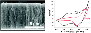 Graphical abstract: Self-organized cobalt fluoride nanochannel layers used as a pseudocapacitor material