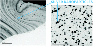 Graphical abstract: Uncommon patterns in Nafion films loaded with silver nanoparticles