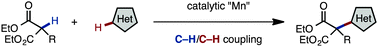 Graphical abstract: Manganese-catalyzed intermolecular C–H/C–H coupling of carbonyls and heteroarenes