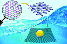 Graphical abstract: Underwater superoleophobic graphene oxide coated meshes for the separation of oil and water