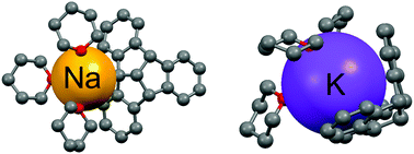 Graphical abstract: Monometalated tribenzotriquinacene: exo and endo coordination of sodium and potassium with a rigid bowl-shaped hydrocarbon anion