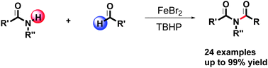 Graphical abstract: Fe-Catalysed oxidative C–H/N–H coupling between aldehydes and simple amides