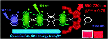 Graphical abstract: Asymmetric dinuclear bis(dipyrrinato)zinc(ii) complexes: broad absorption and unidirectional quantitative exciton transmission