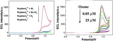 Graphical abstract: Detection of ozone based on its striking inhibition of tris(1,10-phenanthroline)ruthenium(ii)/glyoxal electrochemiluminescence
