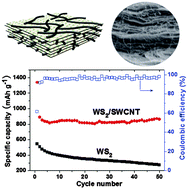 Graphical abstract: The highly enhanced performance of lamellar WS2 nanosheet electrodes upon intercalation of single-walled carbon nanotubes for supercapacitors and lithium ions batteries