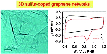 Graphical abstract: Synthesis and oxygen reduction properties of three-dimensional sulfur-doped graphene networks