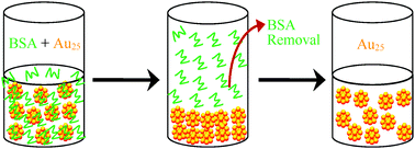 Graphical abstract: Convenient purification of gold clusters by co-precipitation for improved sensing of hydrogen peroxide, mercury ions and pesticides