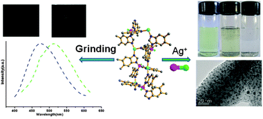 Graphical abstract: Redox-active Cu(i) boron imidazolate framework for mechanochromic and catalytic applications