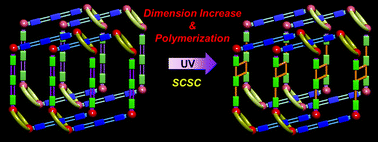 Graphical abstract: Solid-state polymerization in a polyrotaxane coordination polymer via a [2+2] cycloaddition reaction