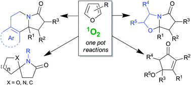 Graphical abstract: Furans and singlet oxygen – why there is more to come from this powerful partnership