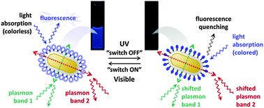 Graphical abstract: Photochromic–fluorescent–plasmonic nanomaterials: towards integrated three-component photoactive hybrid nanosystems