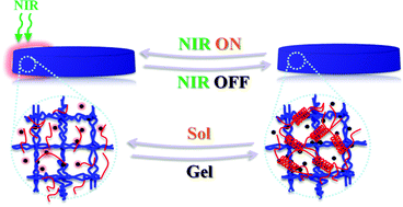 Graphical abstract: Near-infrared light triggerable deformation-free polysaccharide double network hydrogels