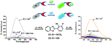 Graphical abstract: Switchable and selective detection of Zn2+ or Cd2+ in living cells based on 3′-O-substituted arrangement of benzoxazole-derived fluorescent probes