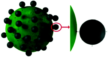 Graphical abstract: A size amplified immune magnetic microbeads strategy in the rapid detection of circulating tumor cells