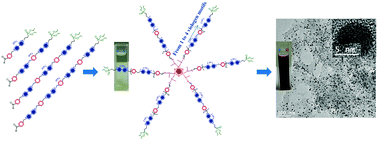 Graphical abstract: Viologen-based dendritic macromolecular asterisks: synthesis and interplay with gold nanoparticles