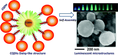 Graphical abstract: Synthesis of luminescent 3D microstructures formed by carbon quantum dots and their self-assembly properties